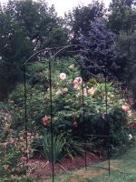 Monet Arch - Image 3