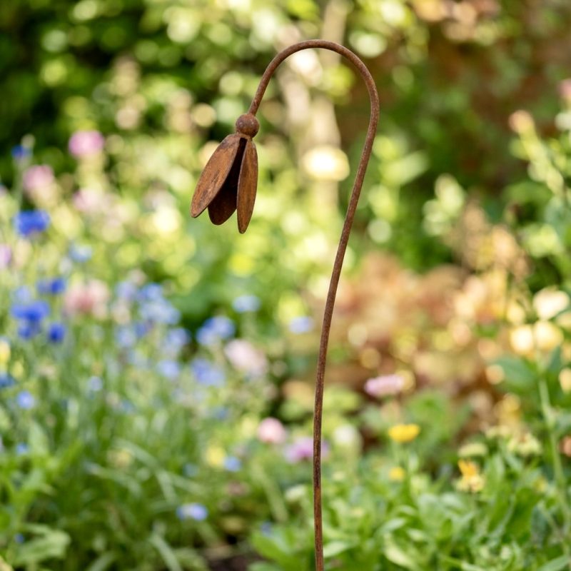 closedsnowdrop