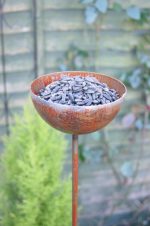 Plant Pins - Image 10