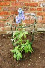 Conical Supports (Pack of 4) - Image 2