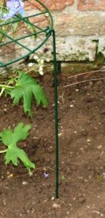 Grow through rings (PACK of 4) - Image 3