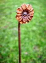 Plant Pins - Image 3