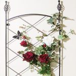 Regent Wall Trellis