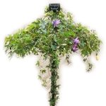 Single Stem Tuteur
