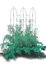 Triple Gothic Panel) - Image 2