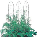 Triple Gothic Panel)