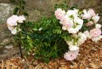 Border Supports (Pack of 4) - Image 4