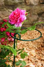 Bunch supports - Image 2