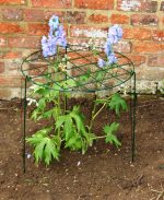 Grow through rings (PACK of 4) - Image 2