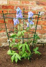 Peony Plant Support - Image 4