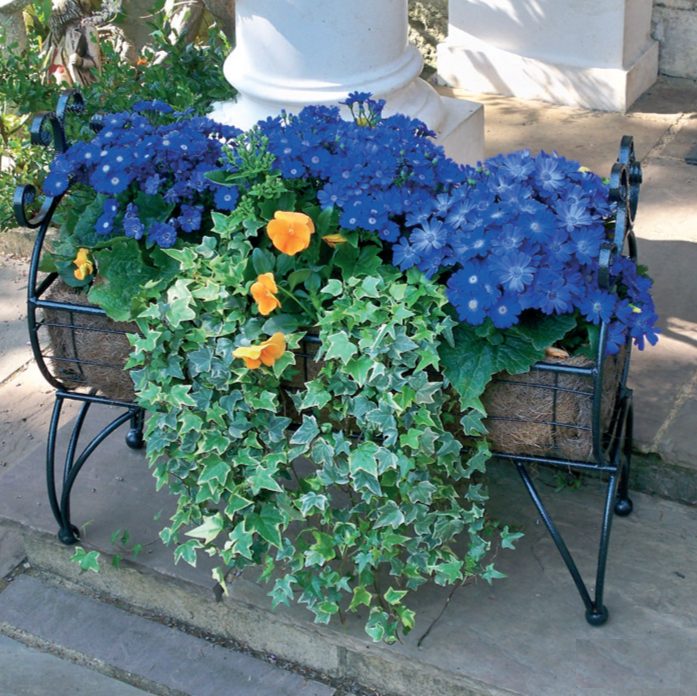 regal-planter-filled Regal 600 Planter - Image 1