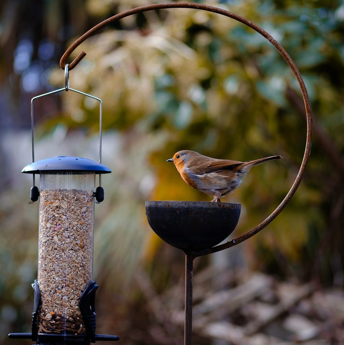 robin-freya Freya Bird Crook - Image 1