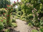 Round Arch - Image 3